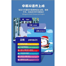 Learning Flash Cards - product image 2