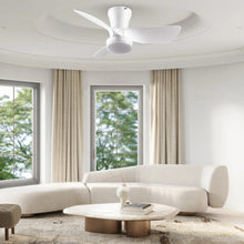 30" Low-Profile Ceiling Fan with LED Light – Quiet DC Motor, Remote Control
