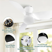 30" Low-Profile Ceiling Fan with LED Light – Quiet DC Motor, Remote Control