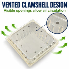 32 oz Vented Blueberry Clamshell, Clear APET Produce Container - image 3