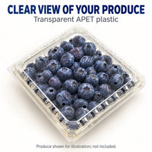 32 oz Vented Blueberry Clamshell, Clear APET Produce Container - image 4