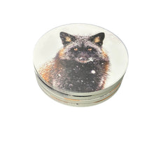 Animal Print Drink Coasters Set of 4 – Absorbent Cork, Heat & Moisture Resistant