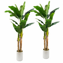 Artificial Banana Trees, 2-Pack, 72 in with White Planters - image 1