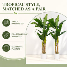 Artificial Banana Trees, 2-Pack, 72 in with White Planters - image 2