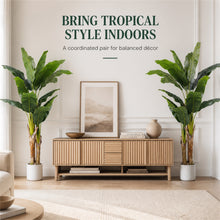 Artificial Banana Trees, 2-Pack, 72 in with White Planters - image 3