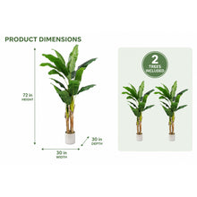 Artificial Banana Trees, 2-Pack, 72 in with White Planters - image 4