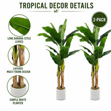 Artificial Banana Trees, 2-Pack, 72 in with White Planters - image 5