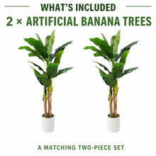 Artificial Banana Trees, 2-Pack, 72 in with White Planters - image 7