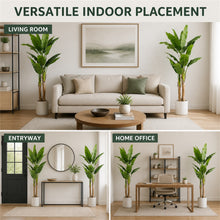 Artificial Banana Trees, 2-Pack, 72 in with White Planters - image 8