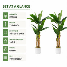 Artificial Banana Trees, 2-Pack, 72 in with White Planters - image 9