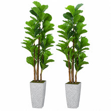 Artificial Fiddle Leaf Fig Trees, 2-Pack, 78 in with Planters - image 1