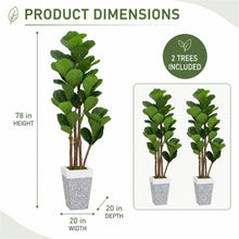 Artificial Fiddle Leaf Fig Trees, 2-Pack, 78 in with Planters - image 4