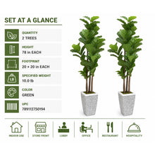 Artificial Fiddle Leaf Fig Trees, 2-Pack, 78 in with Planters - image 9