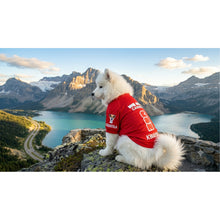 Pet Apparel - product image 7