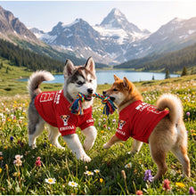 Pet Apparel - product image 6