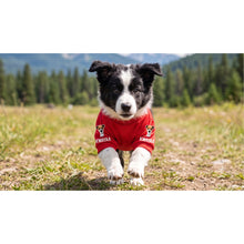 Pet Apparel - product image 5