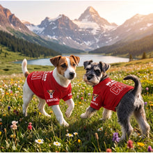 Pet Apparel - product image 4