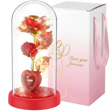 Rose Gift Lamp - Default Title - product image
