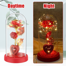 Rose Gift Lamp - product image 7