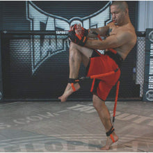 Resistance Band Trainer - product image 3