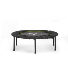 48” Rebounder Fitness Trampoline for Adults with Quiet Bungee Cord System, Heavy-Duty Steel Frame, 330 lb Capacity, Anti-Slip Feet Indoor Cardio Mini Trampoline