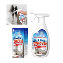 Mold Stain Remover - product image 1