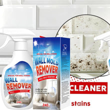 Mold Stain Remover - product image 2