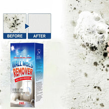 Mold Stain Remover - product image 3