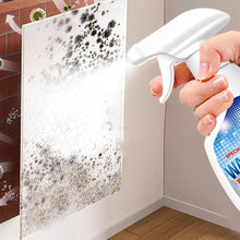 Mold Stain Remover - product image 6
