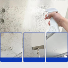 Mold Stain Remover - product image 8