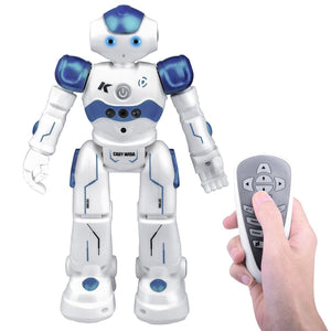 Interactive Intelligent Robot